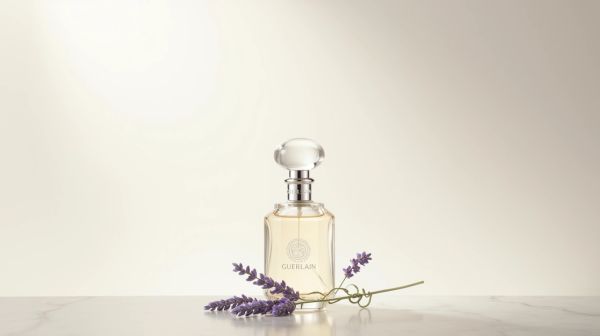Évaluer notre expérience avec le shampoing Abeille Royale de Guerlain
